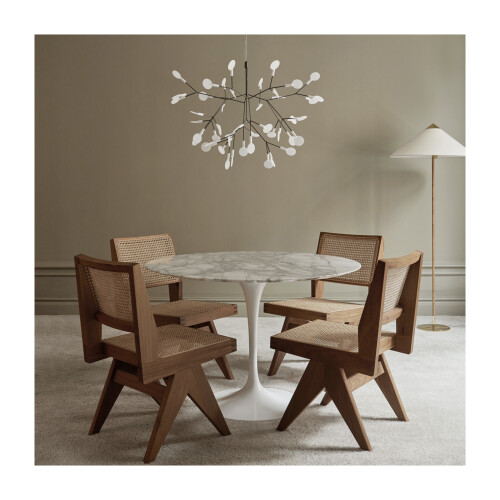 Heracleum takkrona i miljöbild. Luftig lampa liknande en blomkvist där bladen lyser.