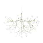 Heracleum takkrona i grönt. Luftig lampa liknande en blomkvist där bladen lyser.