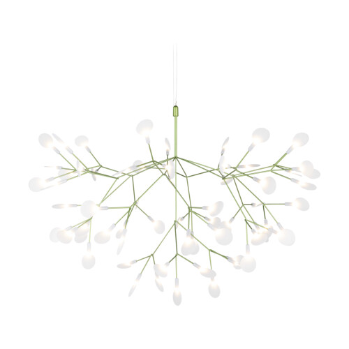 Heracleum takkrona i grönt. Luftig lampa liknande en blomkvist där bladen lyser.