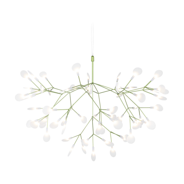 Heracleum takkrona i grönt. Luftig lampa liknande en blomkvist där bladen lyser.