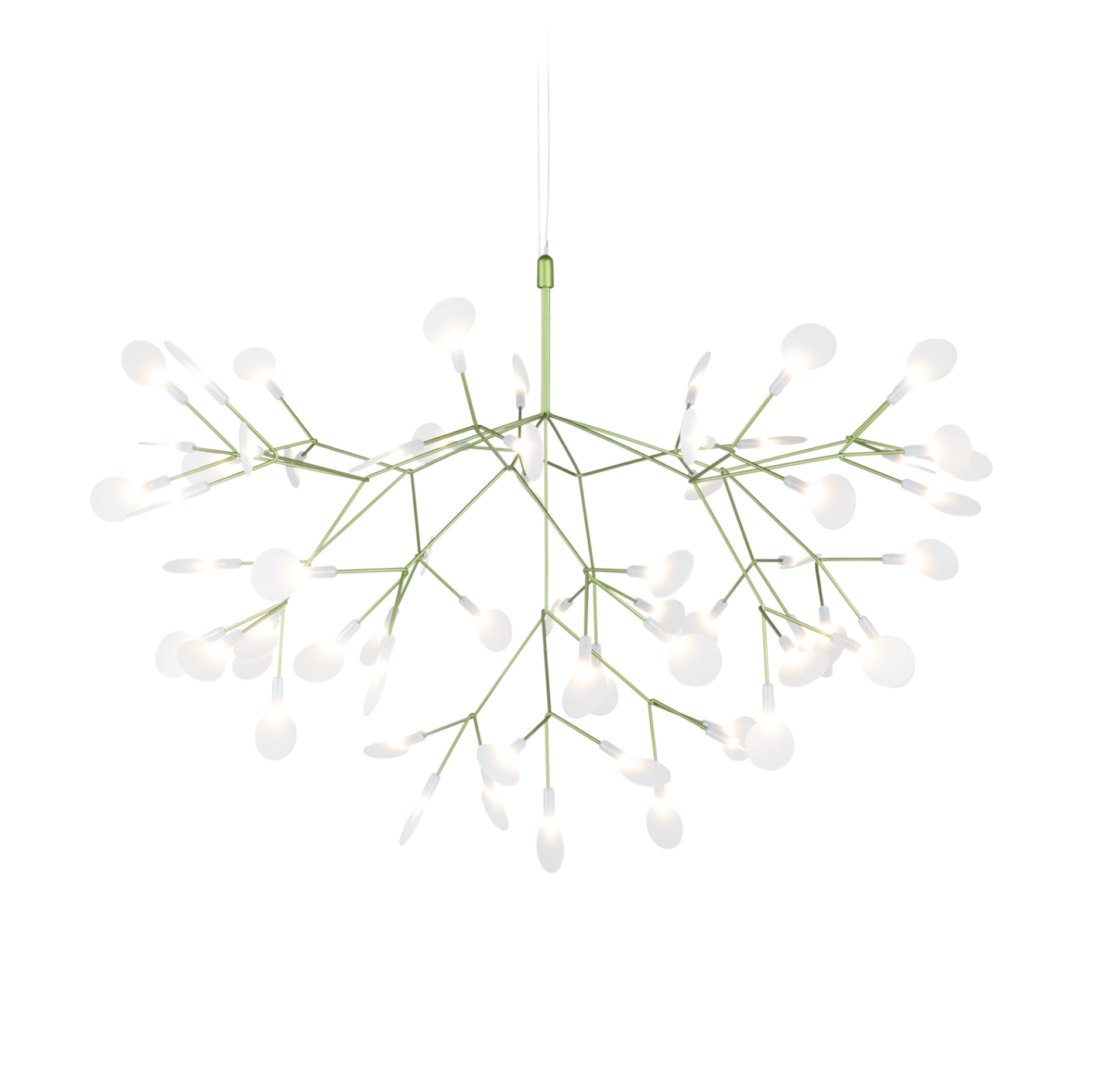 MOOOI Heracleum III Heracleum takkrona i grönt. Luftig lampa liknande en blomkvist där bladen lyser.